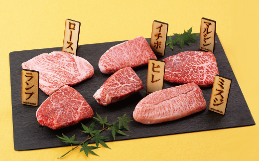 長崎和牛6種類ステーキ食べ比べセット