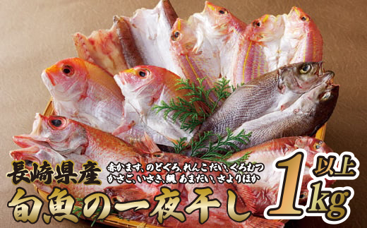 長崎県産旬魚おまかせ一夜干しセット