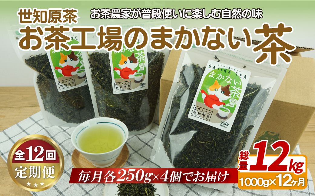 《定期便》世知原茶お茶工場のまかない茶【12回お届け】