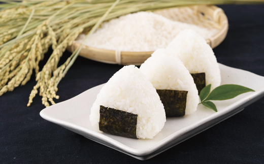 【無洗米】長崎県産ブレンド米(10kg)〈2種食べ比べセット〉